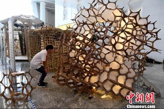 铜奖作品哈尔滨工业大学的作品《藕联》。张斌摄。 铜奖作品哈尔滨工业大学的作品《藕联》。张斌摄。